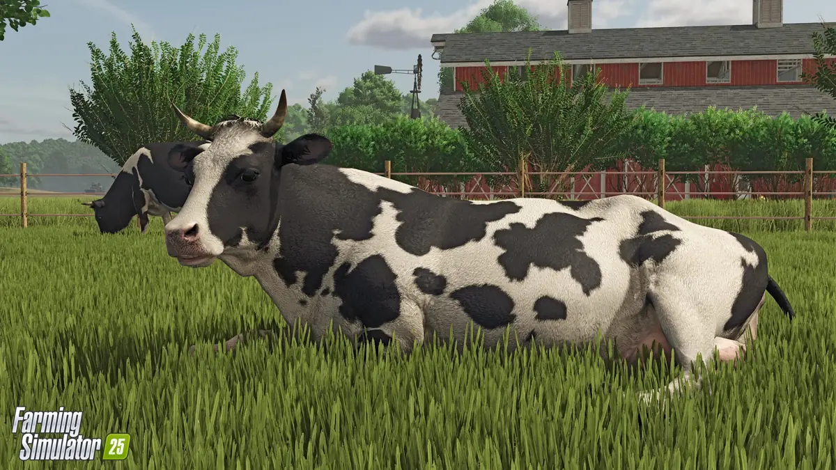 Koe in het gras bij een boerderij